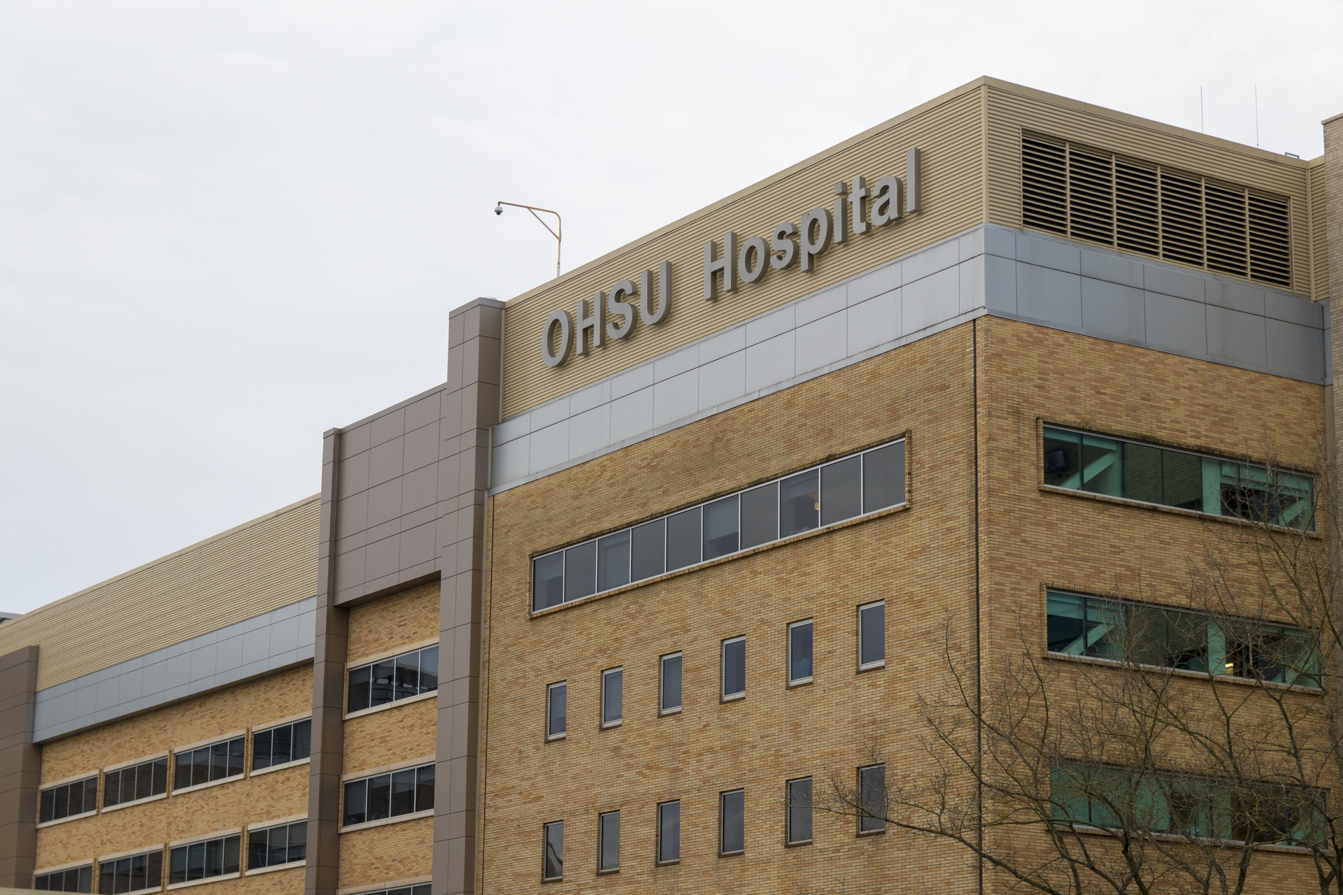 OHSU Seeks to Address Telehealth Disparities Healthcare Innovation