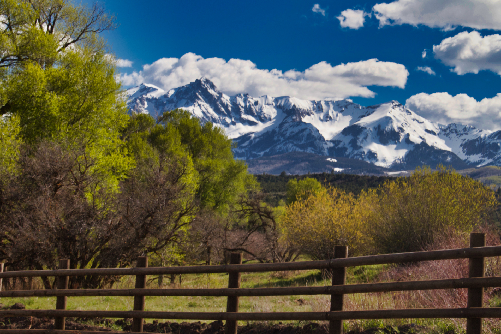 Dreamstime Xl 131662350 6234a9ed88ecb