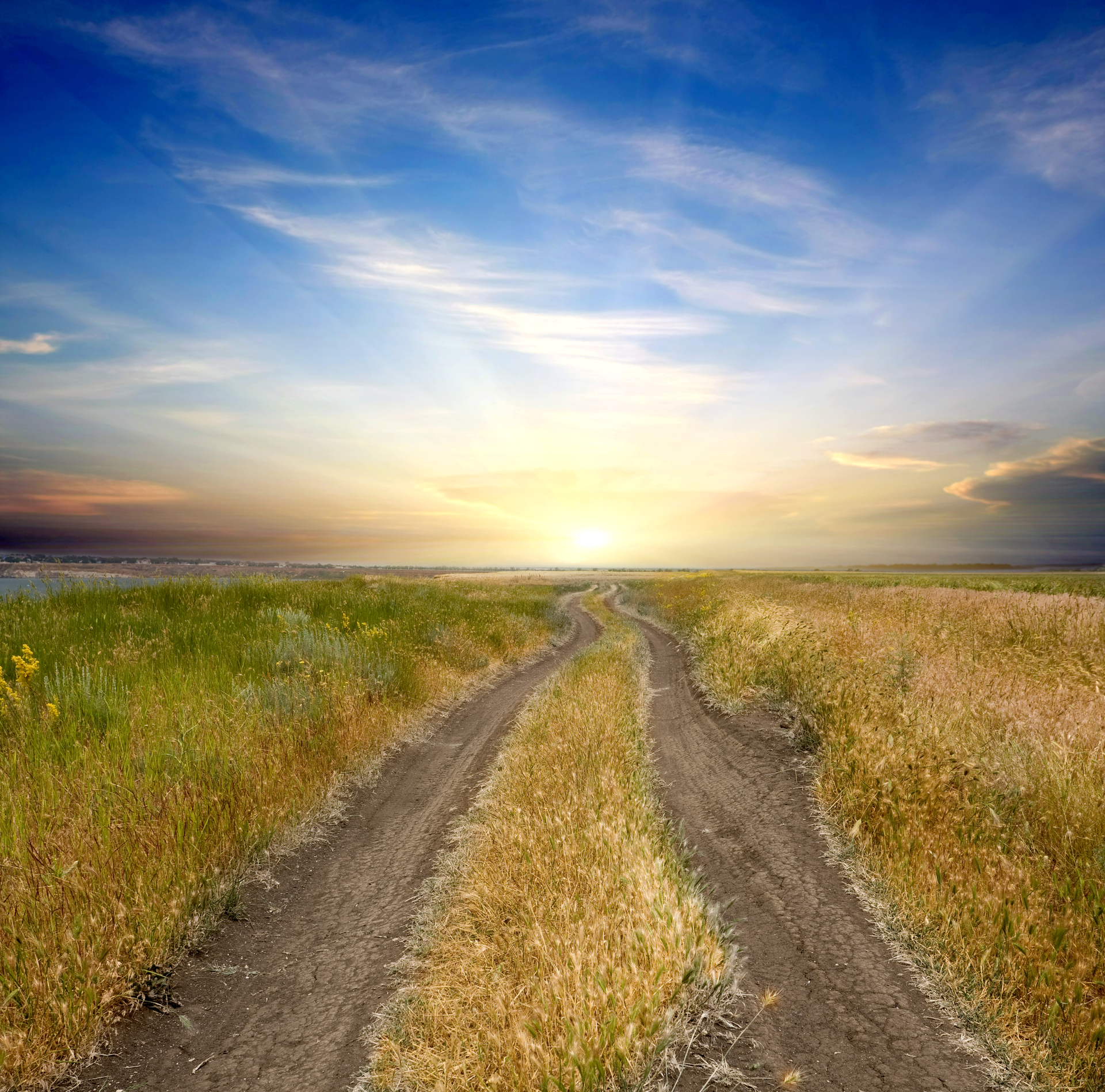 Dreamstime Xl 14767361 62262ceaae389