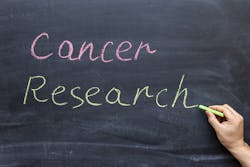 Dreamstime Xl 175517627 624c839e059eb Dreamstime Xl 175517627 624c839e059eb