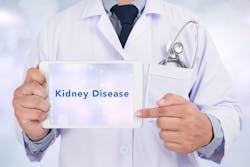 Dreamstime Xl 68554879 62717f2aa9c99 Dreamstime Xl 68554879 62717f2aa9c99