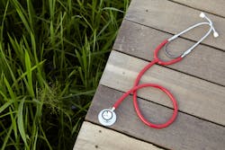 Dreamstime L 134358292 62ea80fb3cbb8 Dreamstime L 134358292 62ea80fb3cbb8