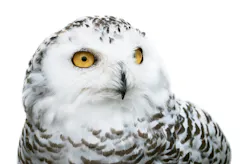 Dreamstime Xxl 45462591 6310d6b35fc77 Dreamstime Xxl 45462591 6310d6b35fc77