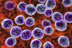 Dreamstime S 128276917 6385196ce51df Dreamstime S 128276917 6385196ce51df