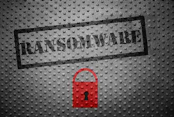 Dreamstime Xxl 75188156 637bc79819285 Dreamstime Xxl 75188156 637bc79819285