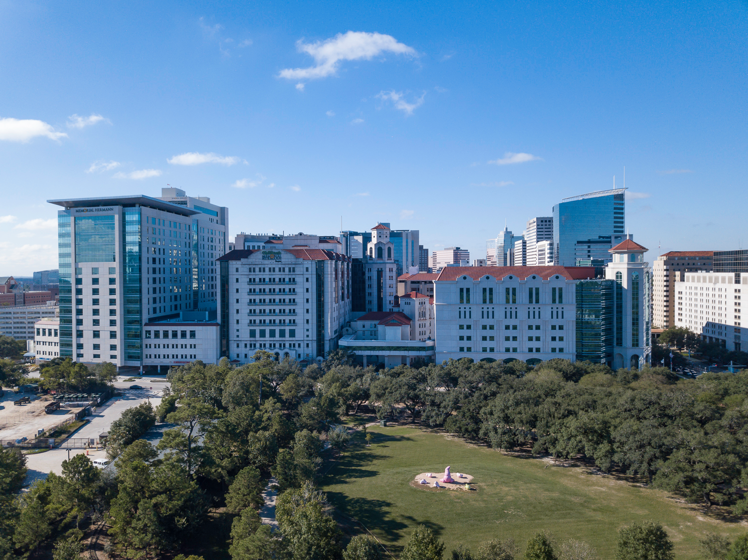 Memorial Hermann-Texas Medical Center in Houston, Texas