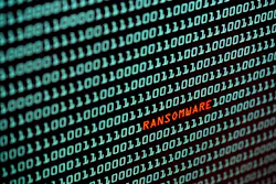 Dreamstime Xxl 132877885 63f5169c5f1b8 Dreamstime Xxl 132877885 63f5169c5f1b8