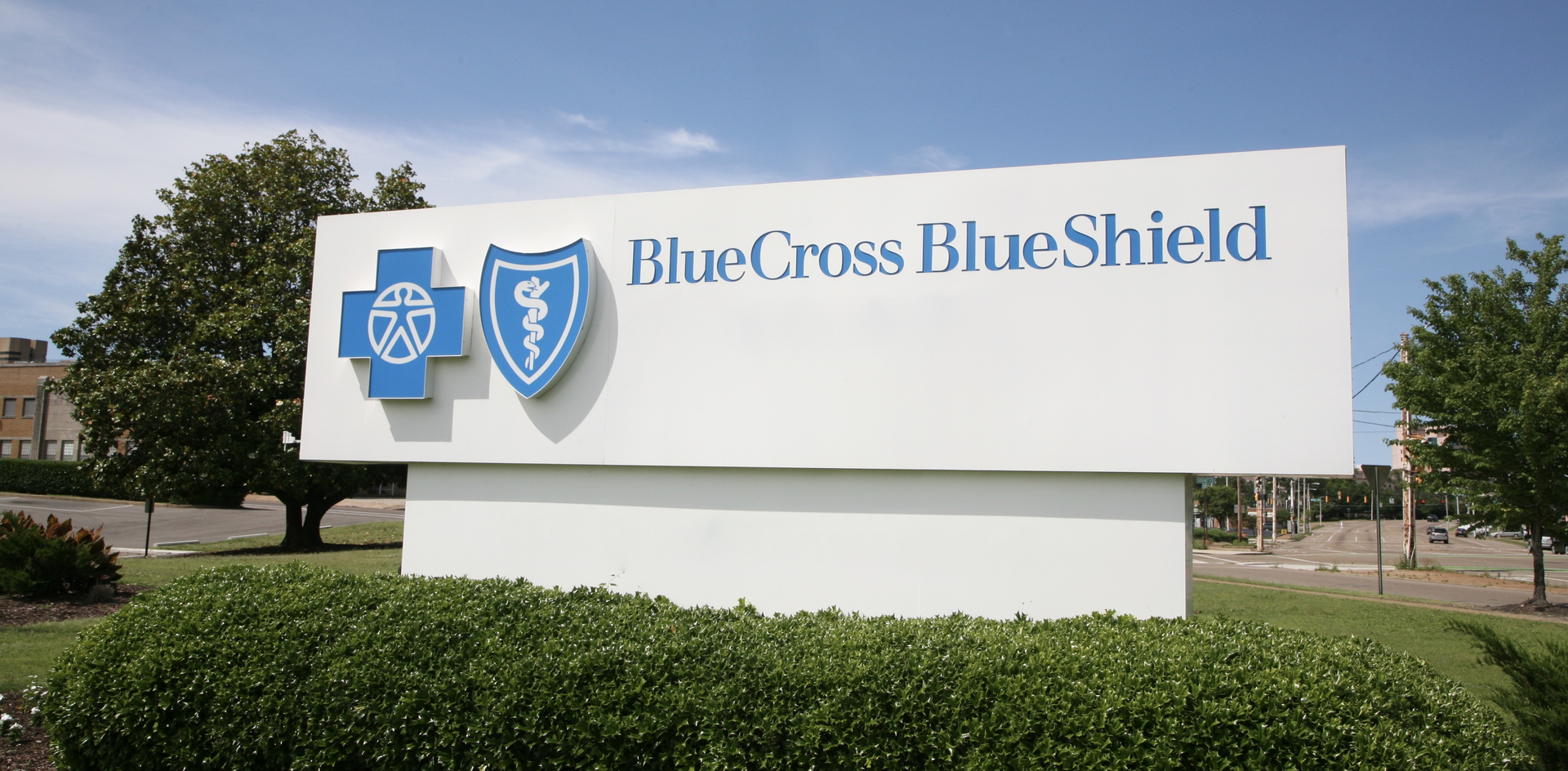 Dreamstime Xxl 92846589 6455082d6e65f