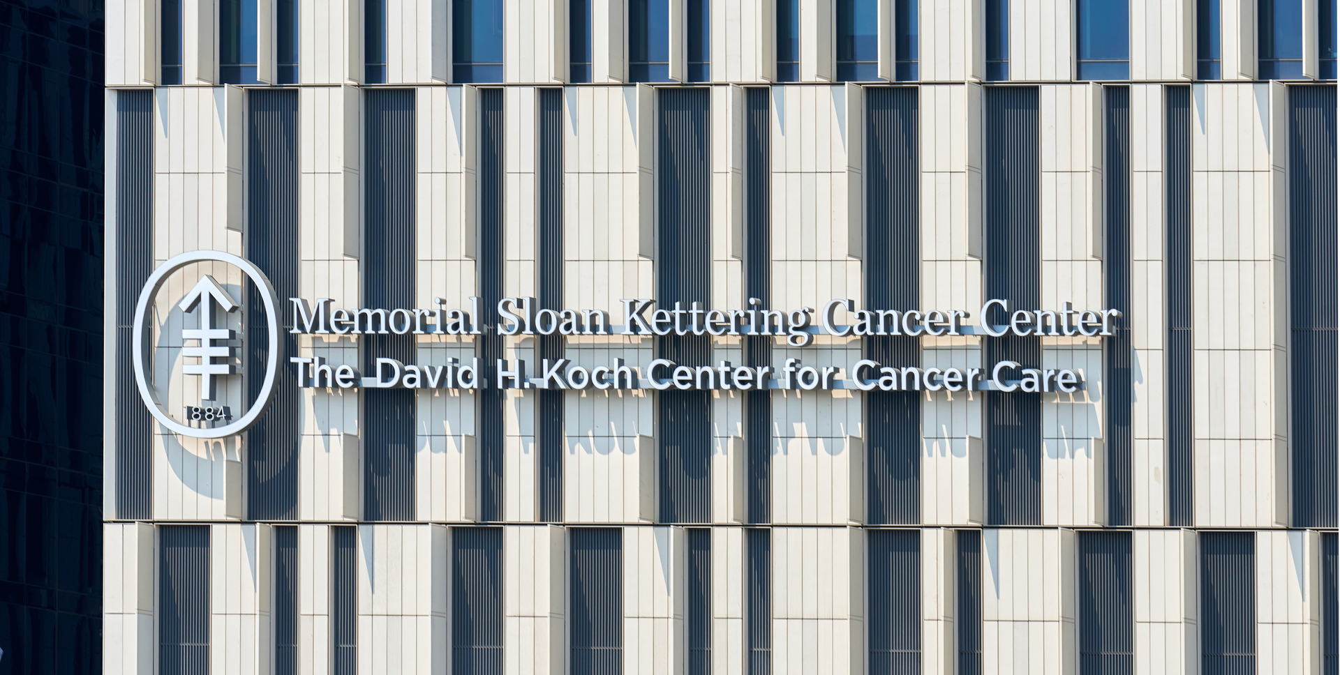 Dreamstime Xl 227404576 649c4ad75e79e