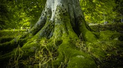 Dreamstime Xl 60896587 Dreamstime Xl 60896587