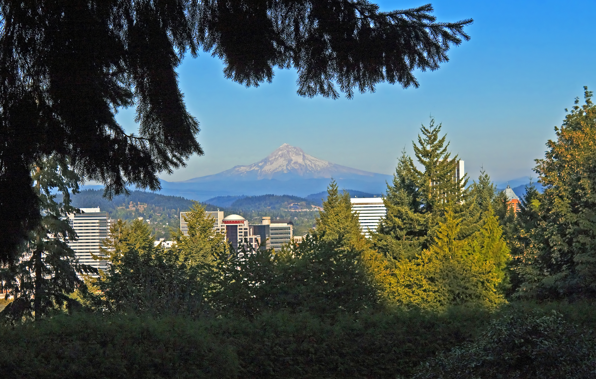 Dreamstime M 36241268 64e503448e27f