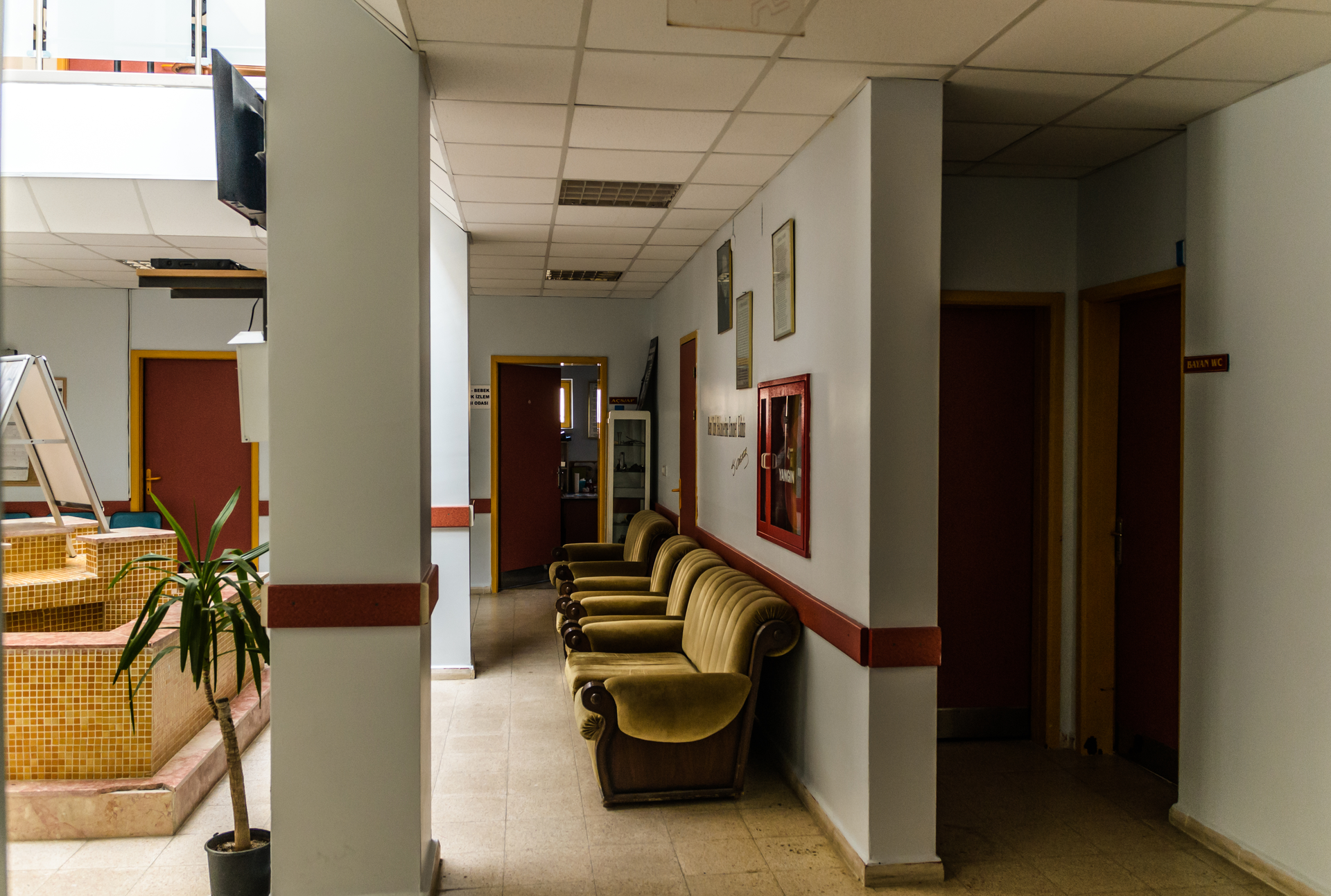 Dreamstime Xxl 103476238 64e6983394a98