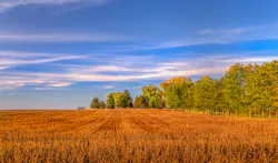 Dreamstime Xl 78970268 6503167c06ed7 Dreamstime Xl 78970268 6503167c06ed7