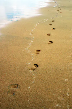 Dreamstime Xxl 7534151 1 652f01566ebce Dreamstime Xxl 7534151 1 652f01566ebce