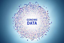 65d3bbf6980d10001e774fec Dreamstime M 259555187 65d3bbf6980d10001e774fec Dreamstime M 259555187