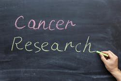 65d77ae568a7e9001e9f8415 Dreamstime M 175517627 65d77ae568a7e9001e9f8415 Dreamstime M 175517627