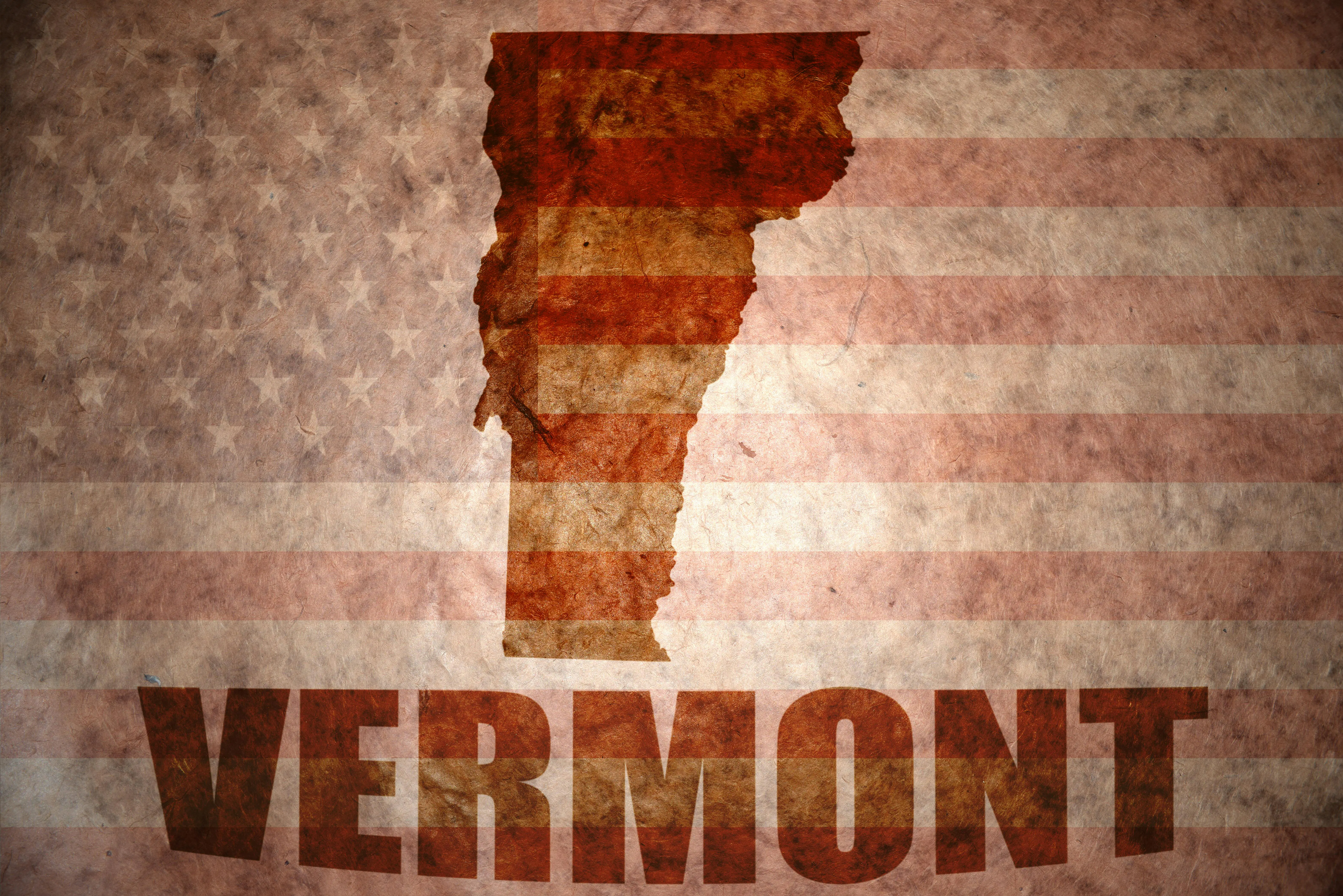 Vermont Making Progress on ED Telepsychiatry Network - Vimarsana News