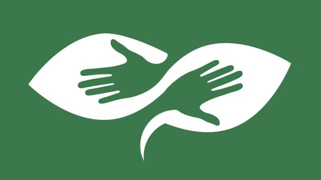 Teladoc Interim CEO Targets Second-Half Growth Revival for