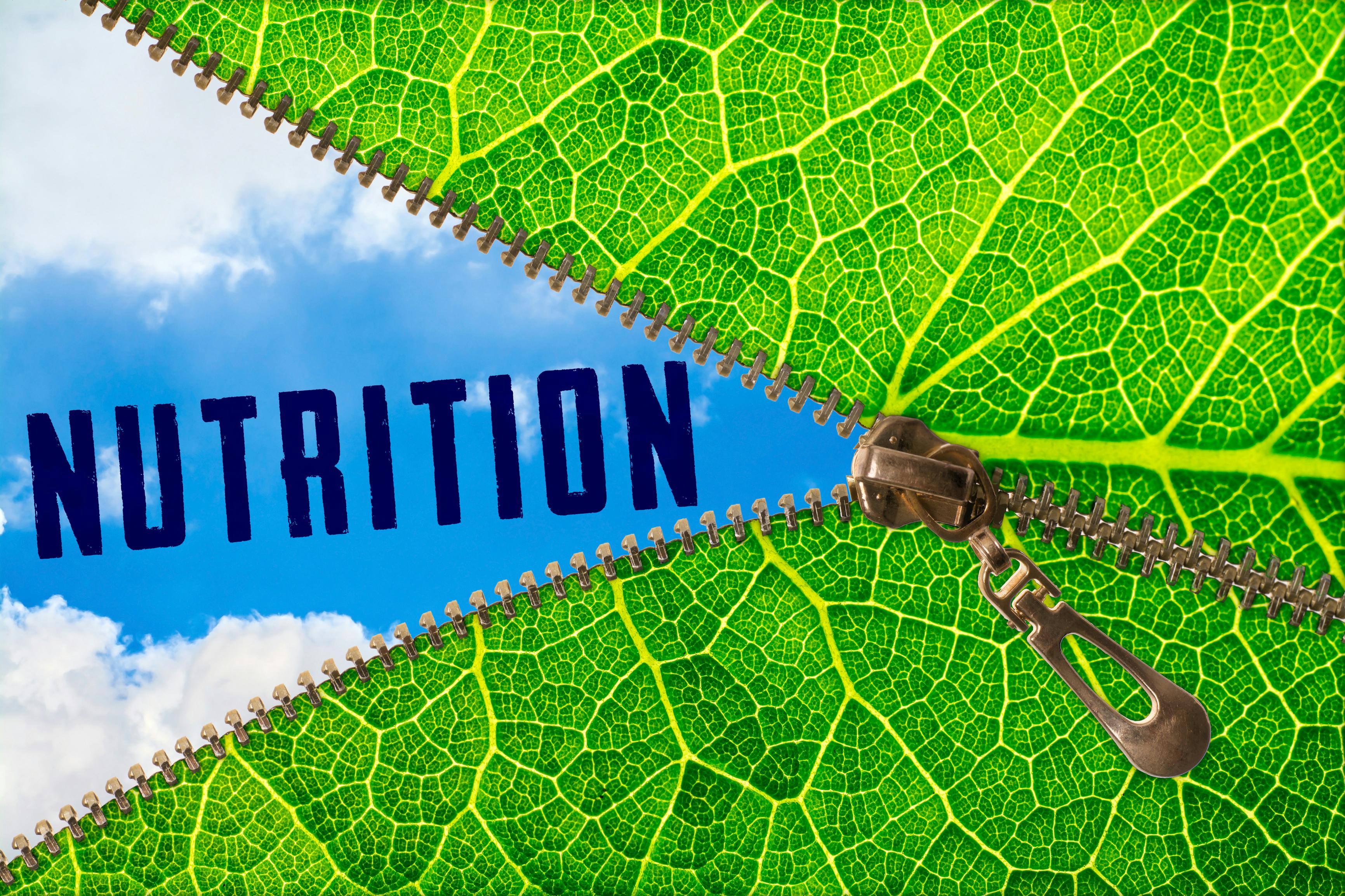 668555f0800a5a7b700641cb Dreamstime Xl 130998895