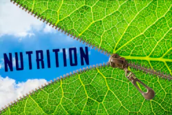 668555f0800a5a7b700641cb Dreamstime Xl 130998895 668555f0800a5a7b700641cb Dreamstime Xl 130998895