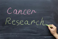 66b0d3ddc84fbdf07028d2e5 Dreamstime Xl 175517627 66b0d3ddc84fbdf07028d2e5 Dreamstime Xl 175517627