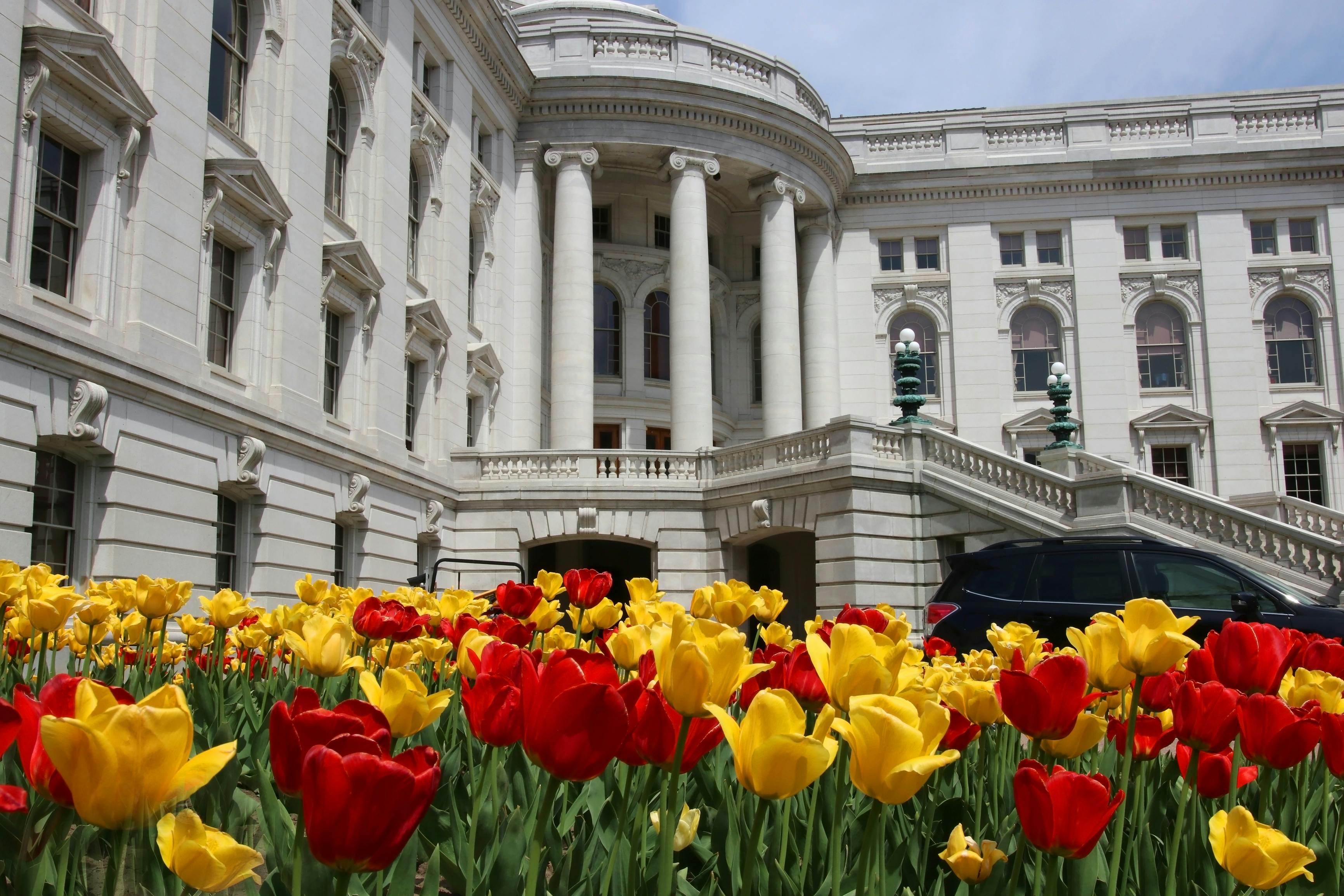 66d86786b4709f0957267503 Dreamstime Xl 116232939