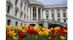 dreamstime_xl_116232939 dreamstime_xl_116232939