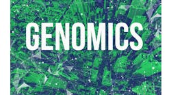 dreamstime_xl_195542890 dreamstime_xl_195542890