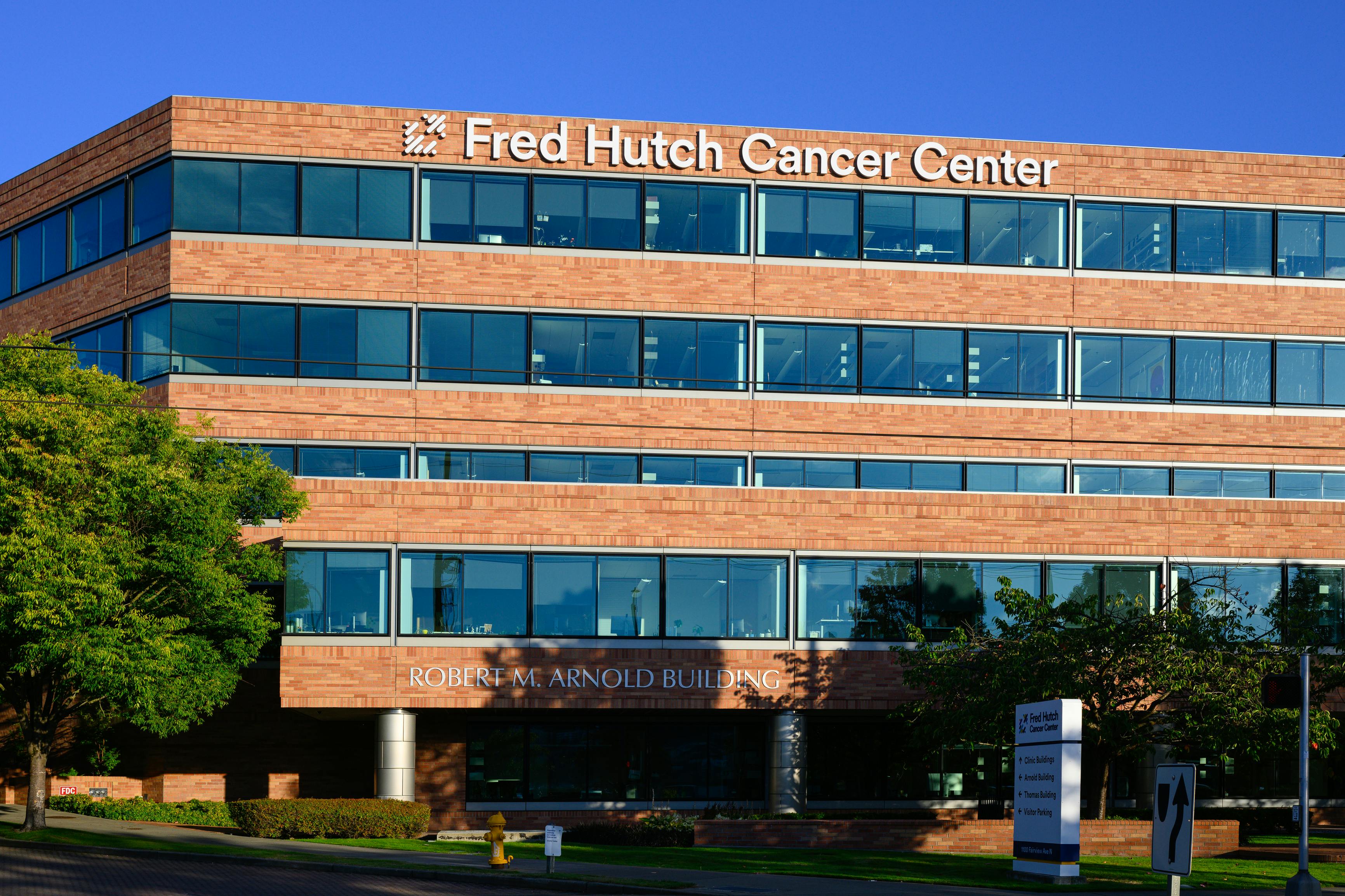 66fad1d8f68dc5f9141b1c86 Dreamstime Xl 333072857