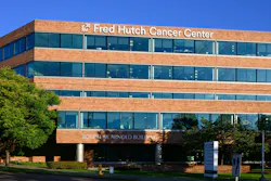 66fad1d8f68dc5f9141b1c86 Dreamstime Xl 333072857 66fad1d8f68dc5f9141b1c86 Dreamstime Xl 333072857