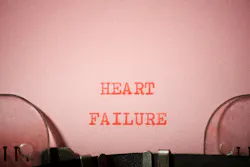 66fd8e965f842c621e84d640 Dreamstime Xl 319561673 66fd8e965f842c621e84d640 Dreamstime Xl 319561673