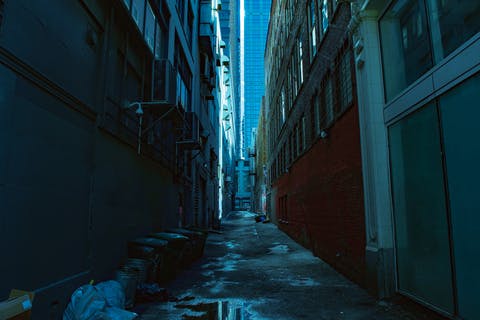 675216cfe4f8b6276b0f9c43 Dreamstime Xs 347346321 1