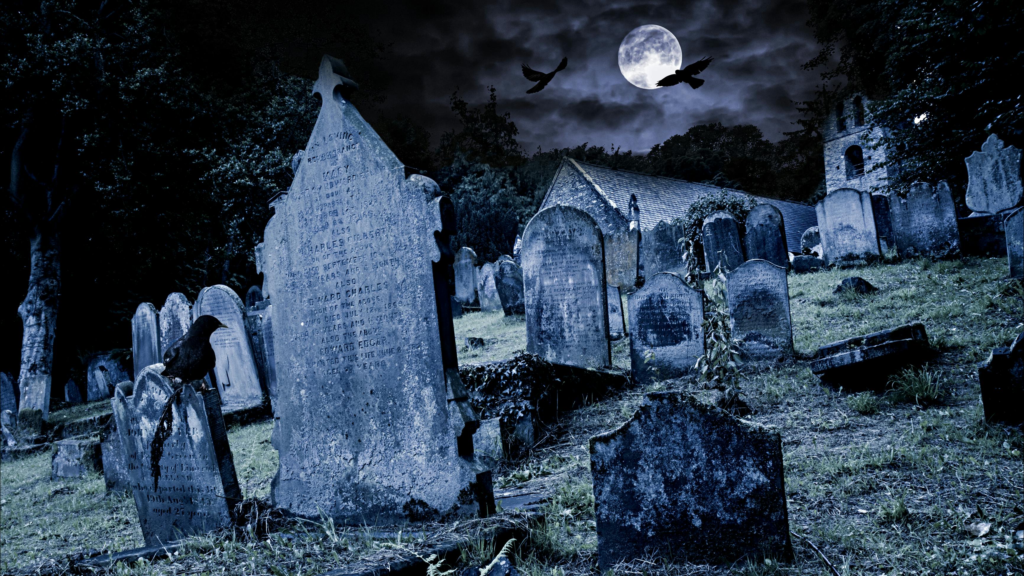 dreamstime_xl_160627686