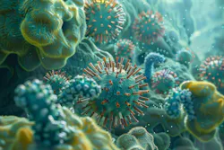 67d06d2e39ac2f11293d1636 Dreamstime Xxl 335772838 67d06d2e39ac2f11293d1636 Dreamstime Xxl 335772838