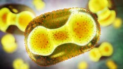 685dc64eca91aedd0cd9e261 Dreamstime Xxl 248170390 685dc64eca91aedd0cd9e261 Dreamstime Xxl 248170390