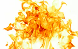 689eb703ccd83a840d759f8b Dreamstime Xxl 4287965 689eb703ccd83a840d759f8b Dreamstime Xxl 4287965