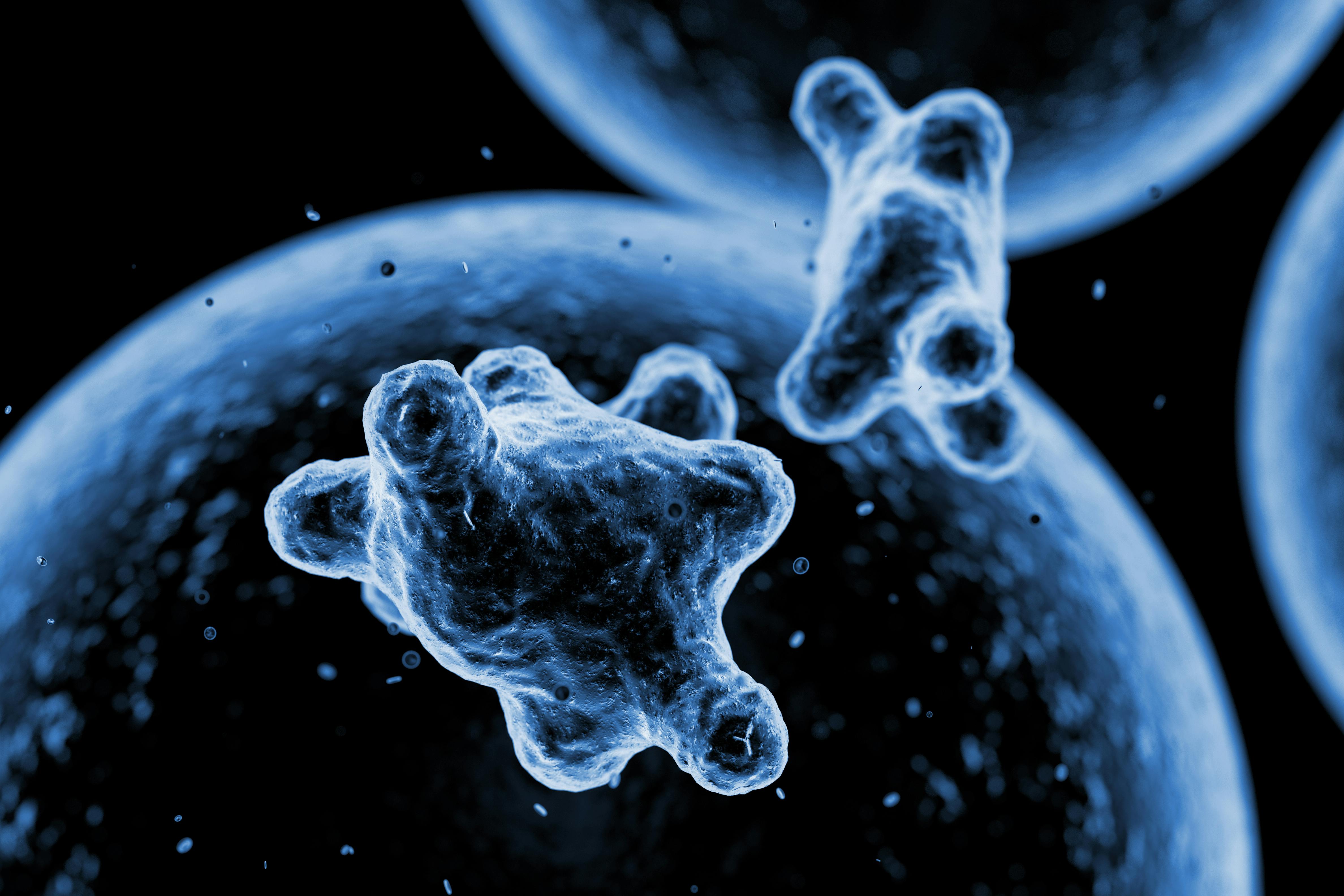 Rapid Rise of Antibiotic-Resistant NDM-CRE Bacteria Sparks Concern in Healthcare