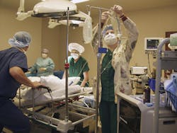 69690b73b642c7e56ababd95 Dreamstime L 237126 69690b73b642c7e56ababd95 Dreamstime L 237126