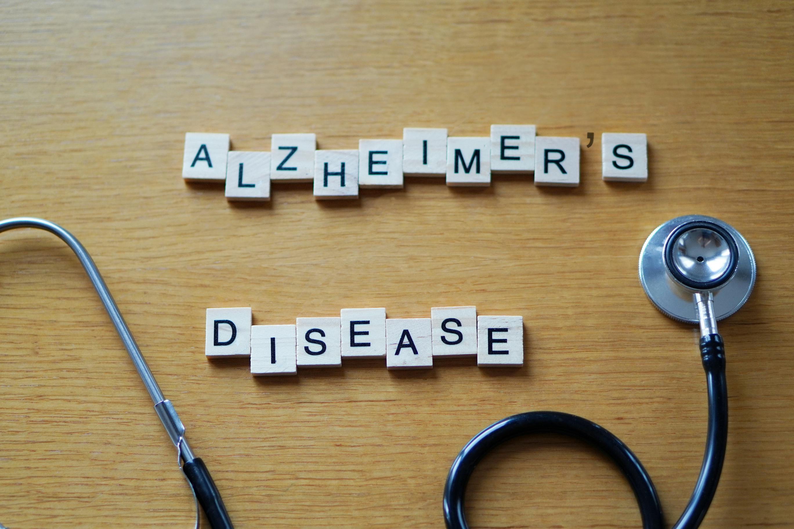 dreamstime_l_335402636