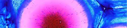 6a3aa6637a80b3814d1f9aee Background Danaher